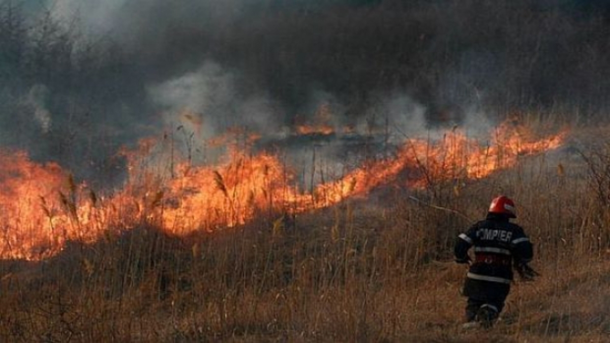Permisul de lucru cu focul, obligatoriu dacă ardeți vegetația uscată