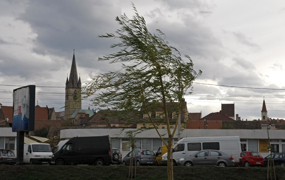 Cod galben de vânt puternic în județul Sibiu, până la ora 20