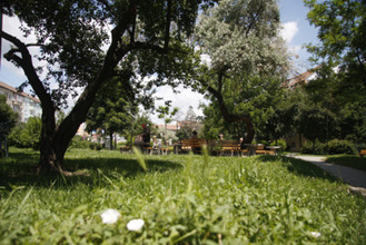 Căpuşele, ţânţarii şi rozătoarele vor fi stârpite din parcurile Sibiului