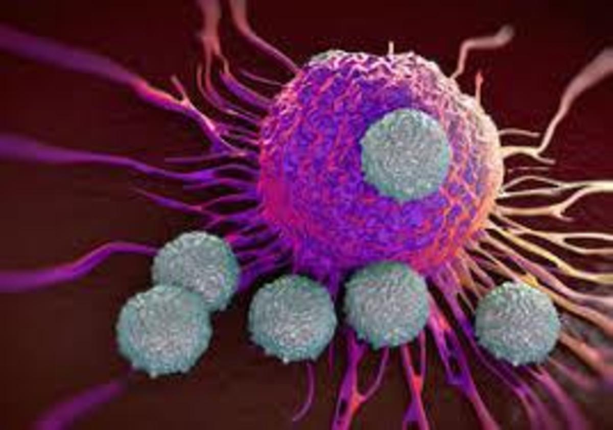 Factorii oncogeni importanţi