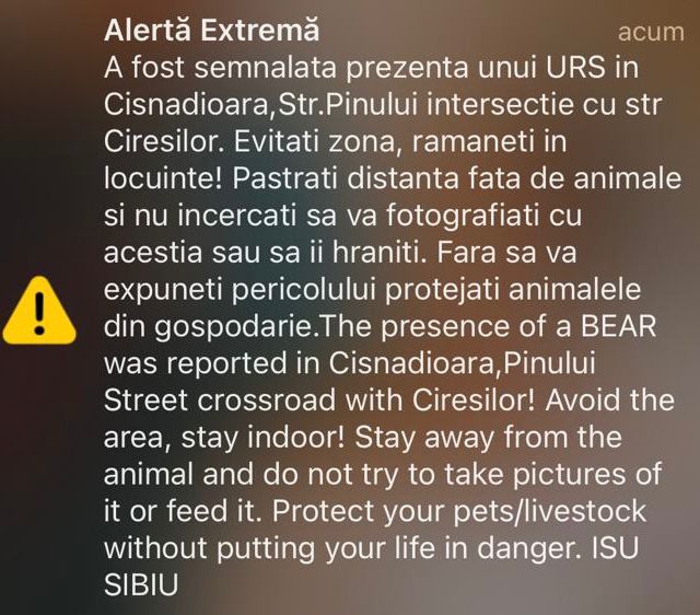 Alertă: urs în Cisnădioara