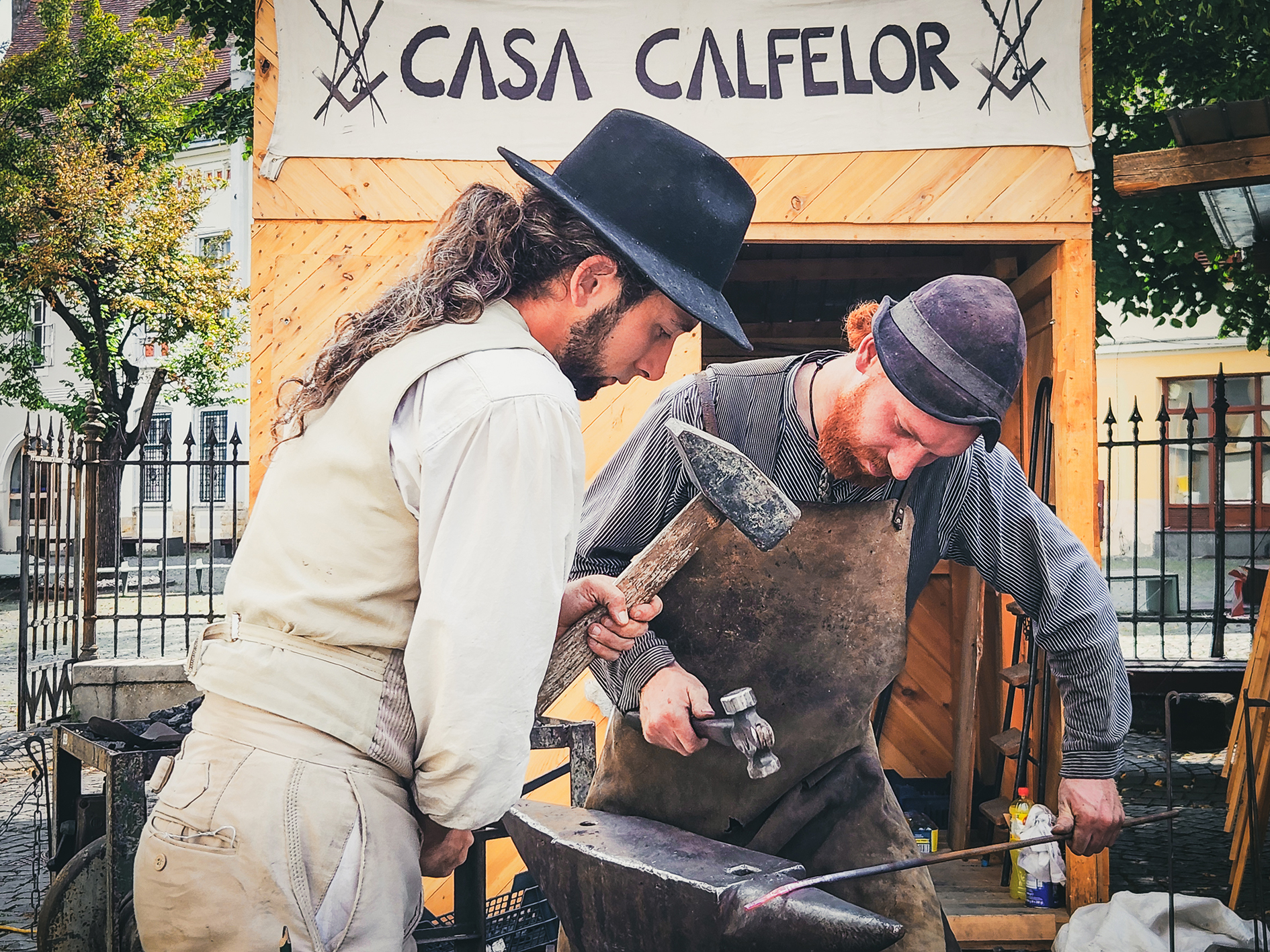 Foto: Calfele călătoare revin la Sibiu. Când are loc deschiderea festivă