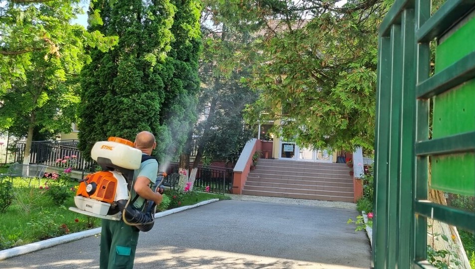 Noi acțiuni de dezinsecție și deratizare în Sibiu. Când și unde se desfășoară