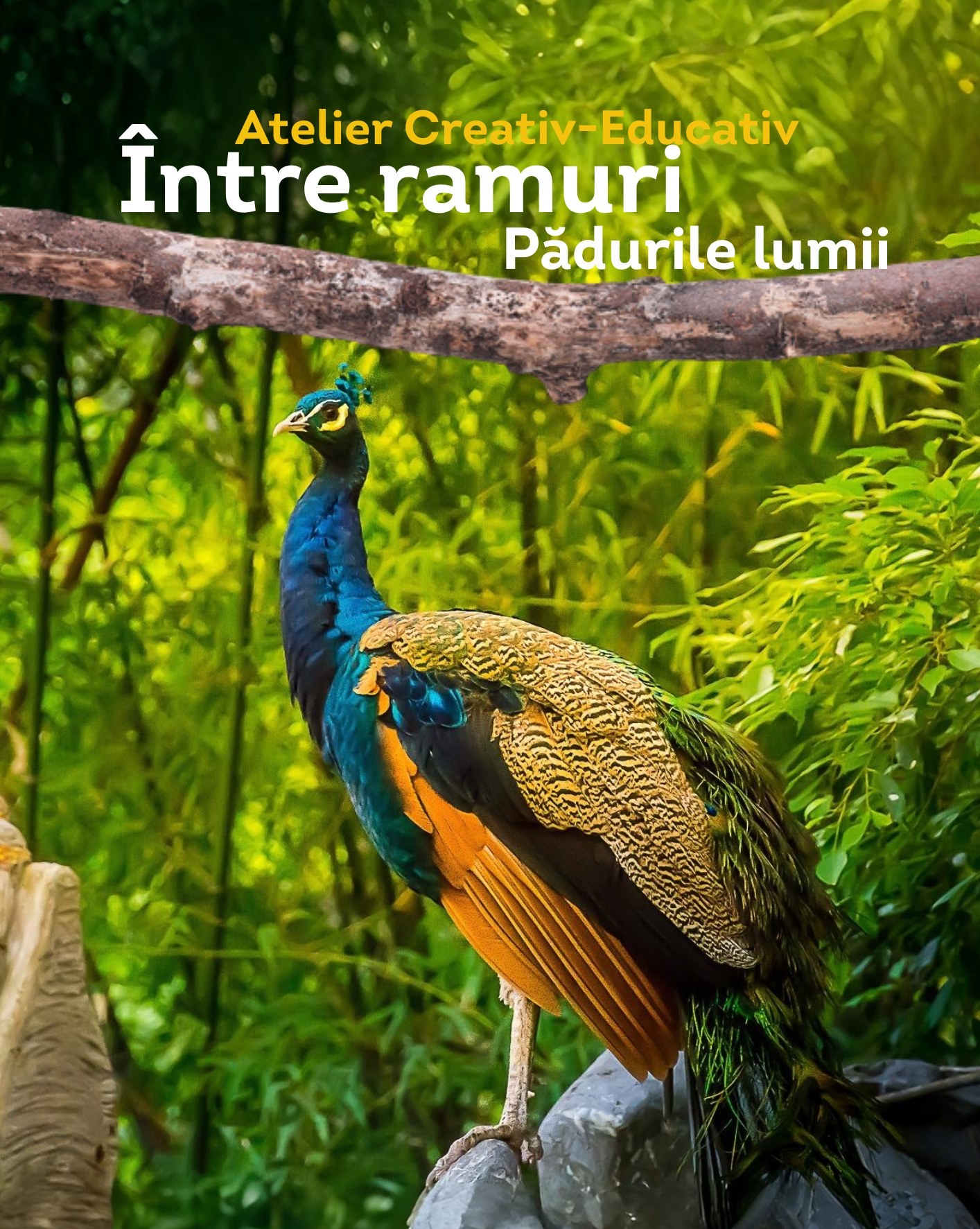 Lumea fascinantă a viețuitoarelor pădurii, dezvăluită celor mici la Muzeul de Istorie Naturală