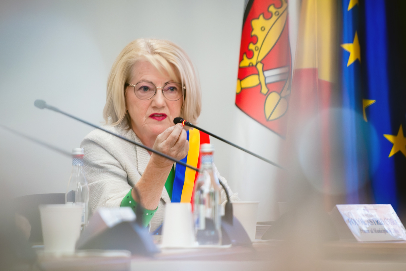 Centrul de spectacole: cum vede Astrid Fodor realizarea megaproiectului