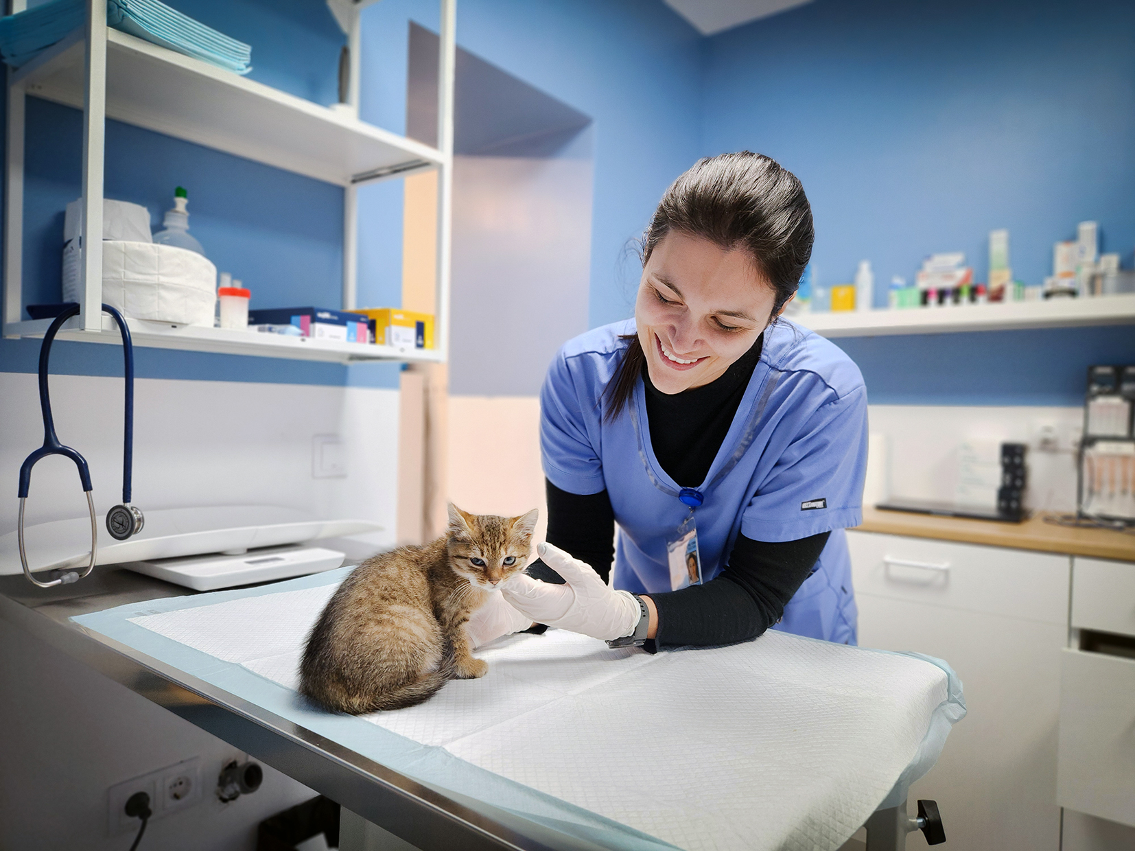 Câinii și pisicile din Șura Mică pot fi sterilizați gratuit