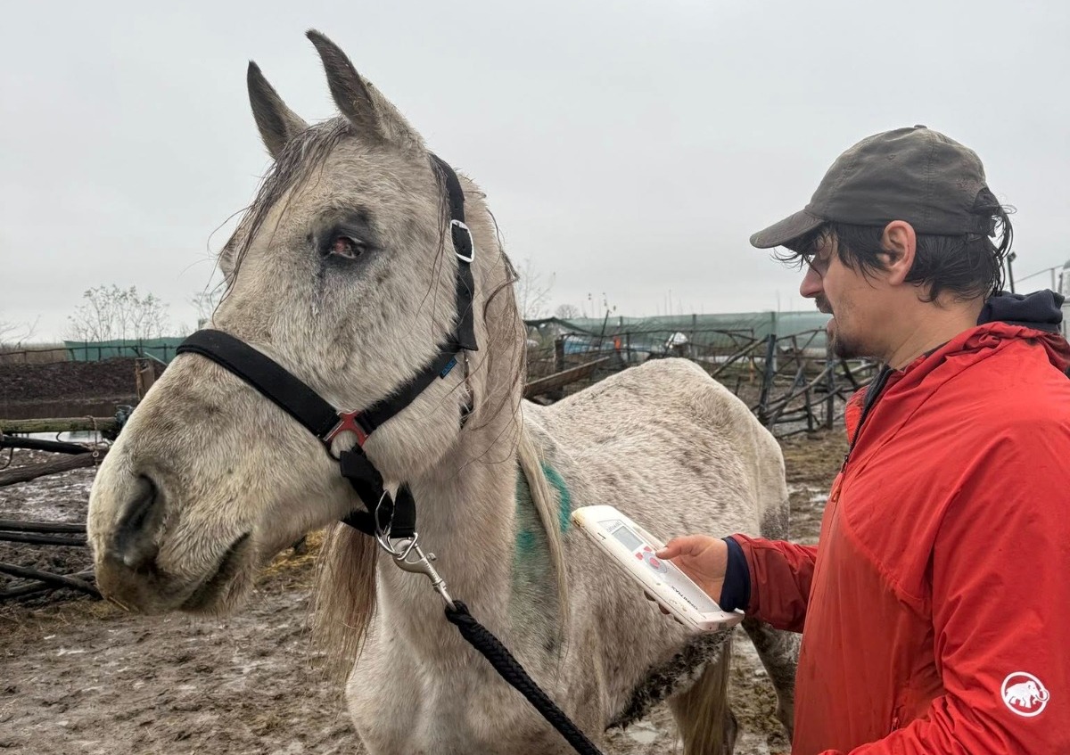 Un medic veterinar candidează pentru titlul de „Omul Anului”. „Ai fost și ești peste tot unde e nevoie de ajutor”