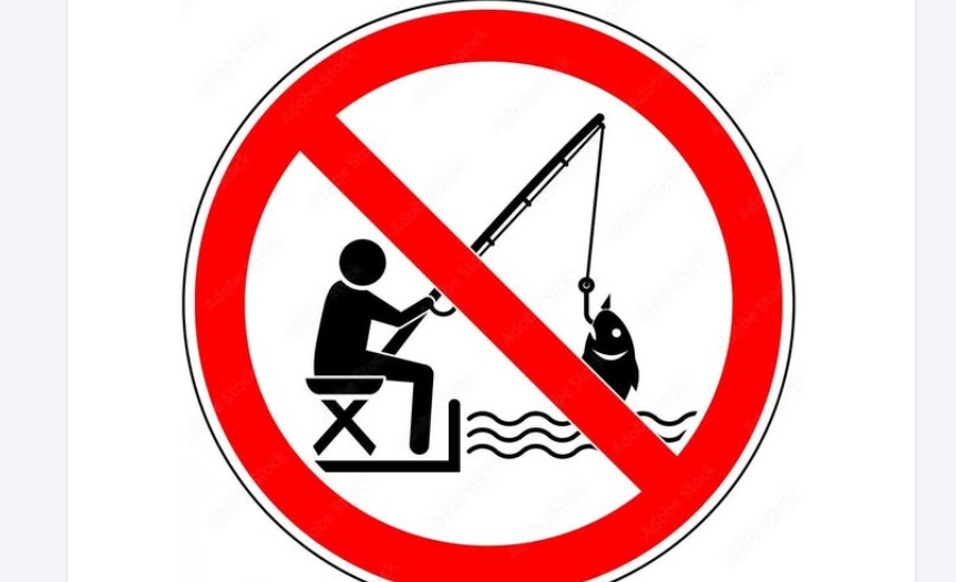 Prohibiție la pescuitul știucii în 2026. Anunț AJVPS Sibiu