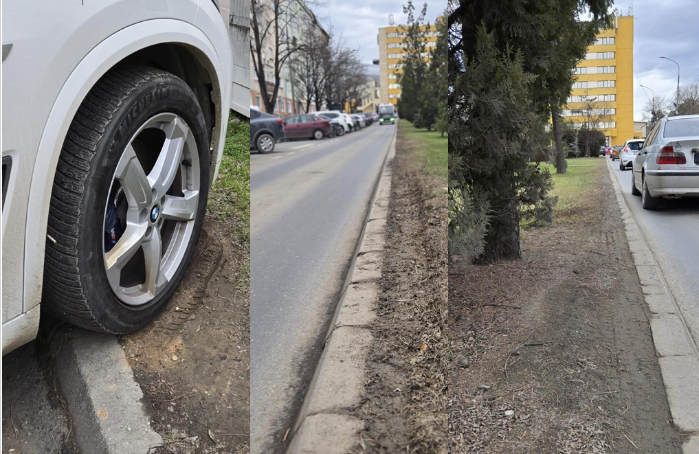 Parcări mai late sau spații verzi mai înguste? Dilema străzii Școala de Înot