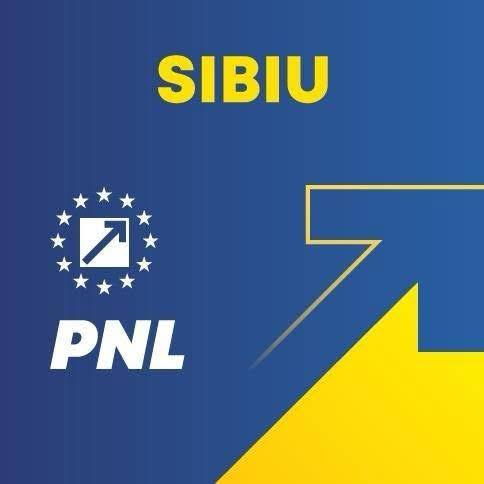 (P) 200 de milioane în 35 de zile: mitul vândut de PSD