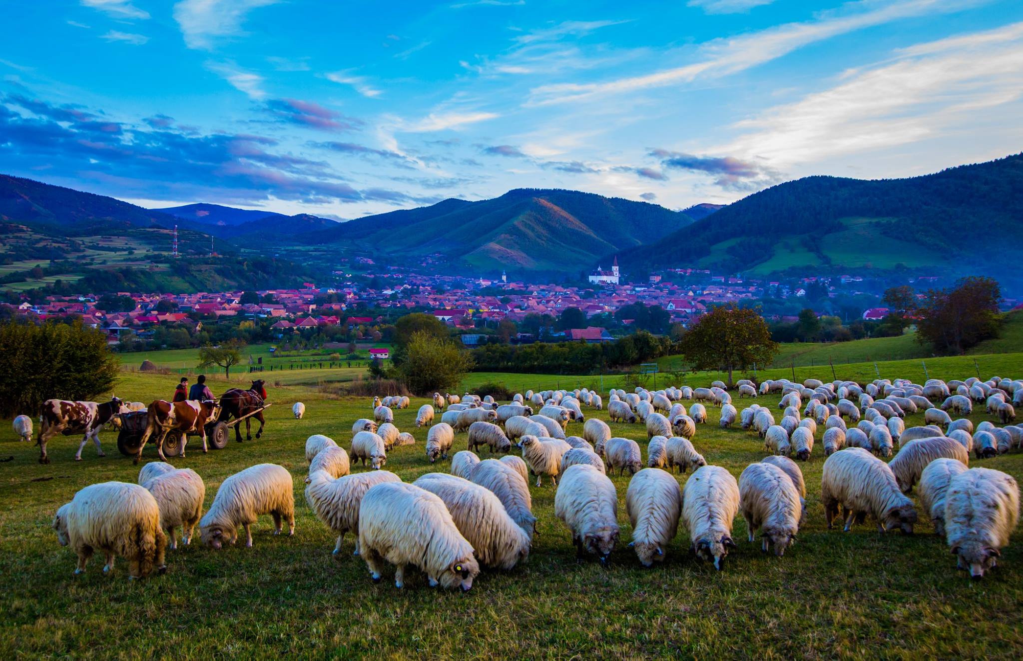 Reîncepe Best Tourism Villages. Rășinari a câștigat în 2022 în fața a peste 130 de localități
