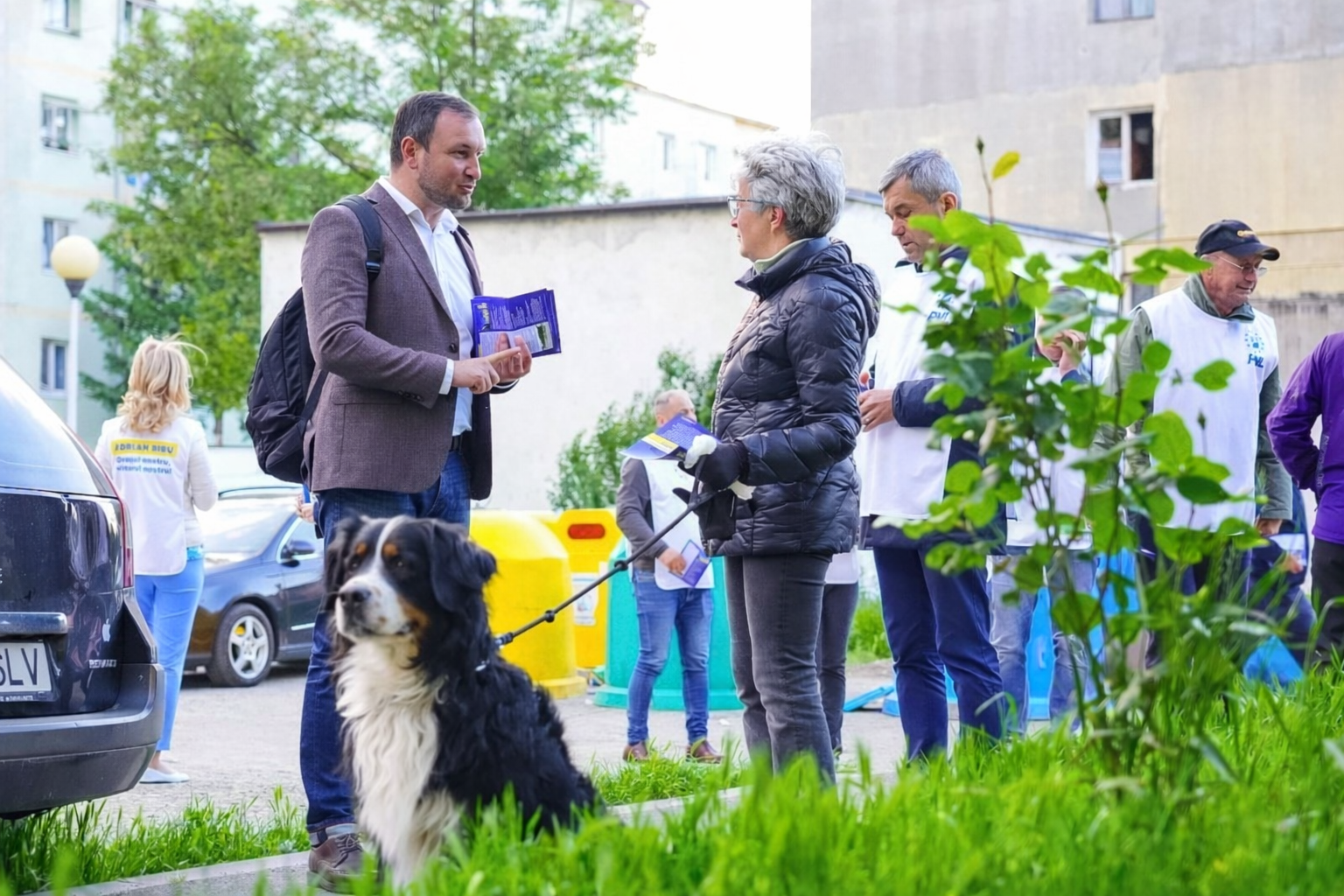 Bibu propune extinderea programului de sterilizare gratuită a câinilor metiși din Sibiu și invocă modelul aplicat la Cluj