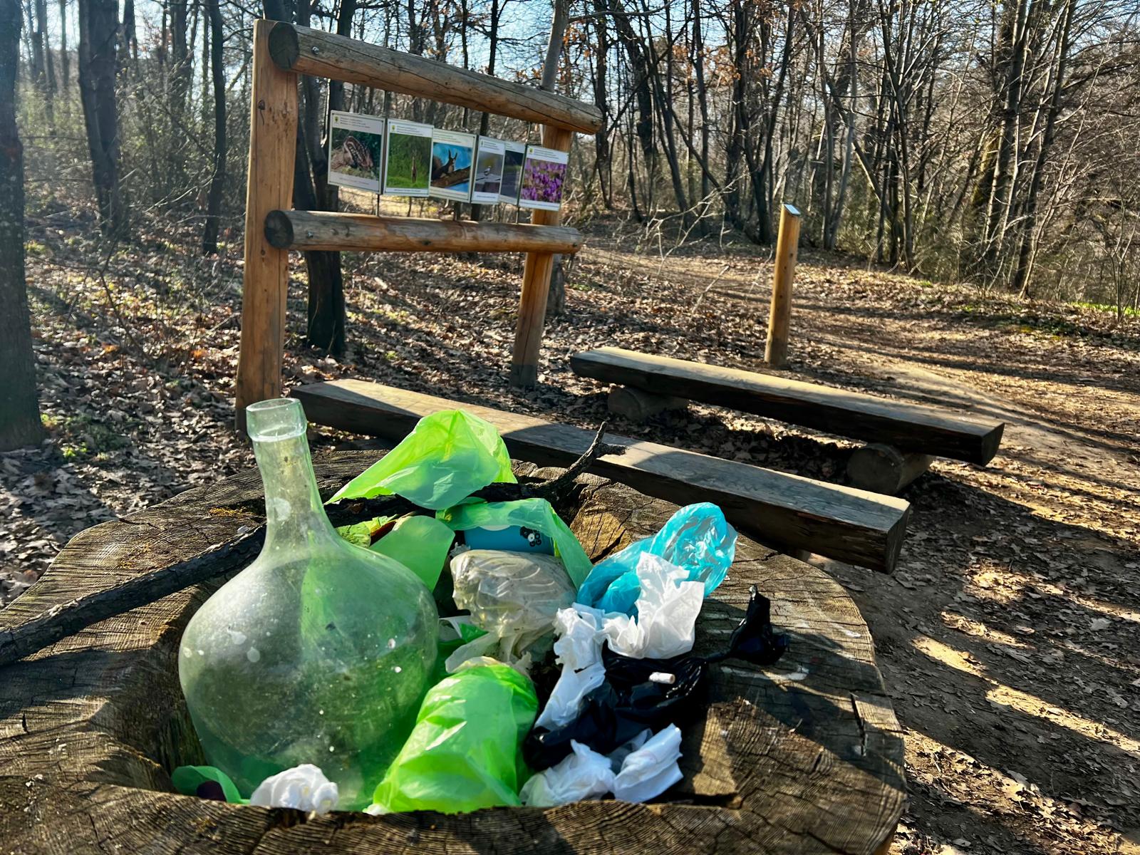 Coșurile de gunoi din Rezervația Naturală Pădurea Dumbrava, pline de gunoaie aduse din pivnițe