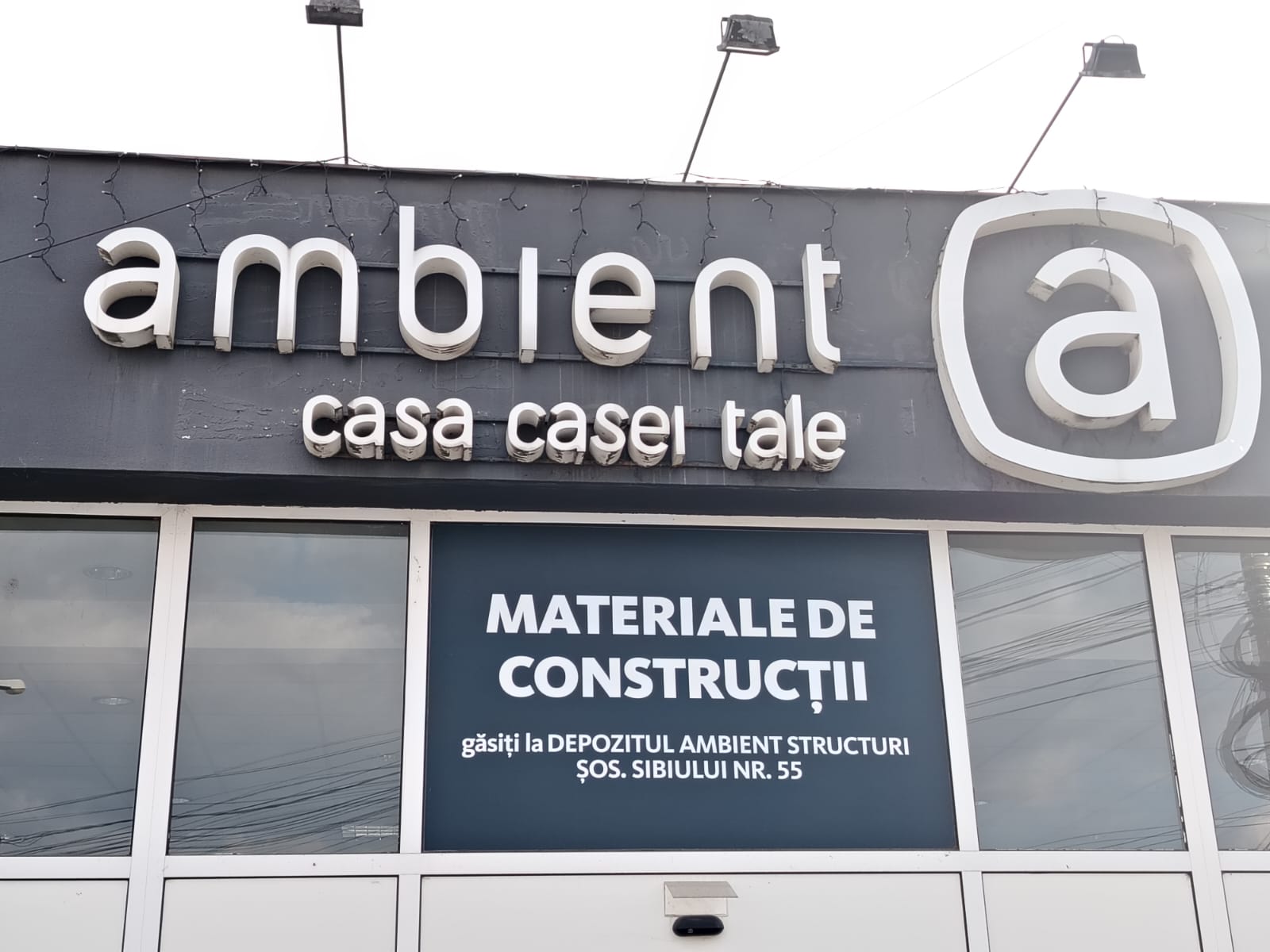 Ambient a revenit pe profit după doi ani în care a înregistrat pierderi