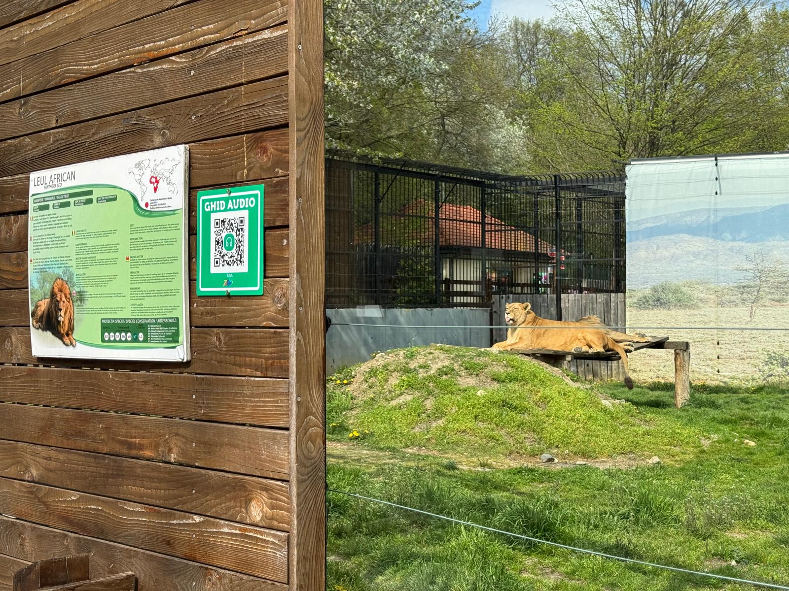 Premieră la Zoo Sibiu: ghid vocal cu inteligență artificială, disponibil gratuit pentru vizitatori