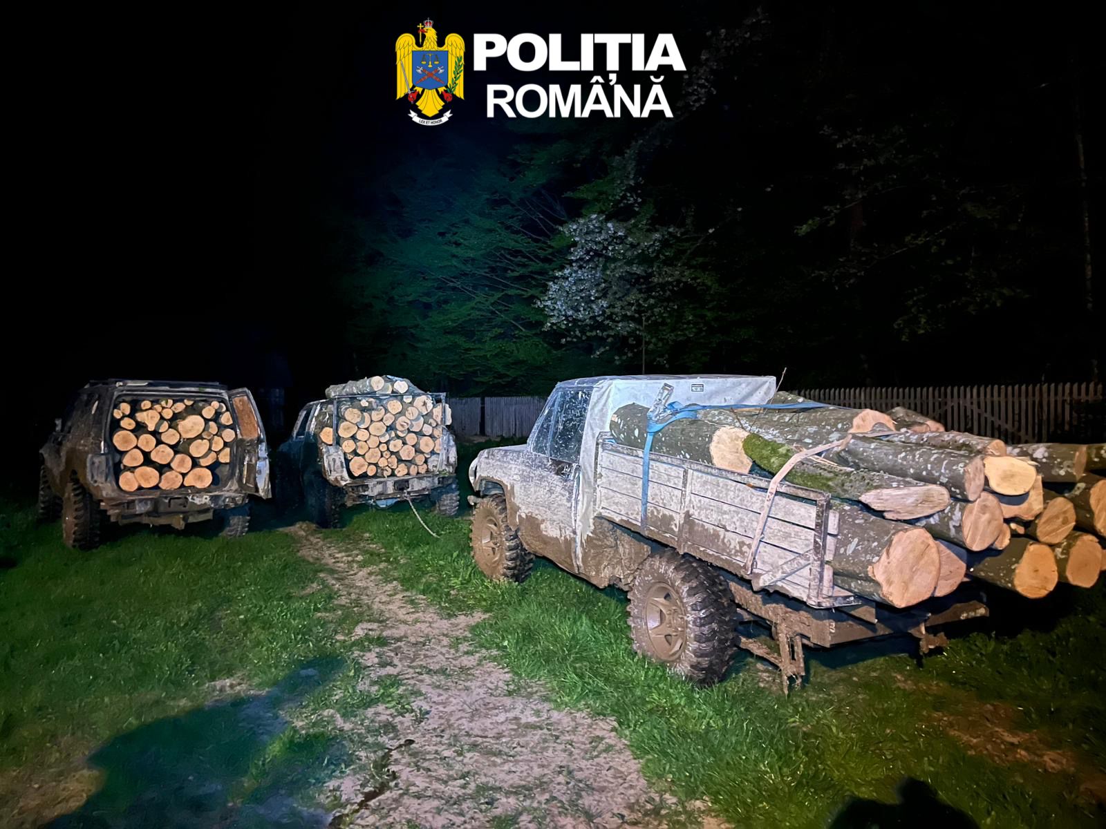 Trei mașini confiscate după un furt de lemn din pădure