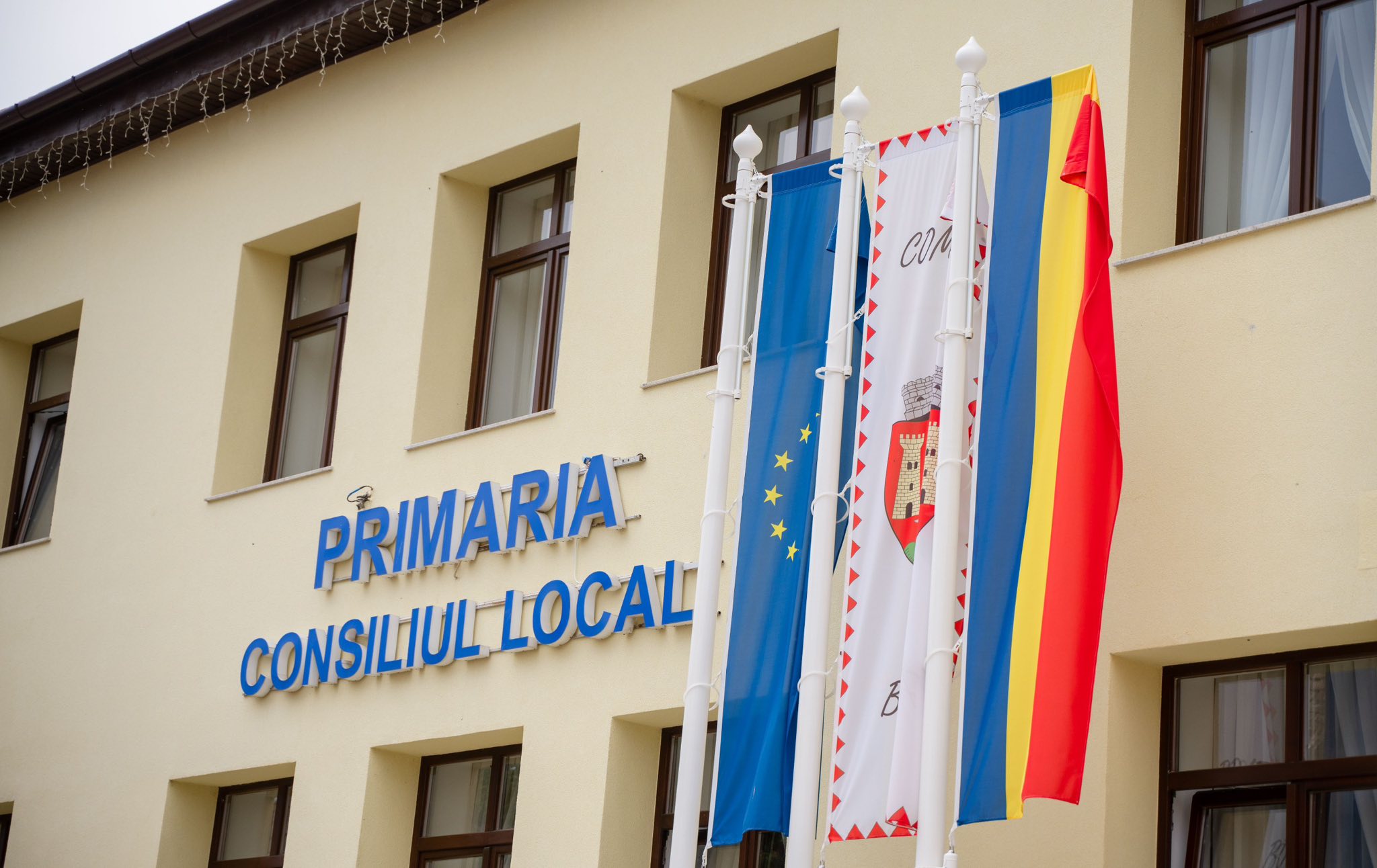 1000 de camioane cu lemn, furate de la Boița. Decizie importantă a Justiției