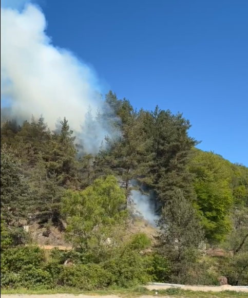 Incendiu la Sadu: arde pădurea