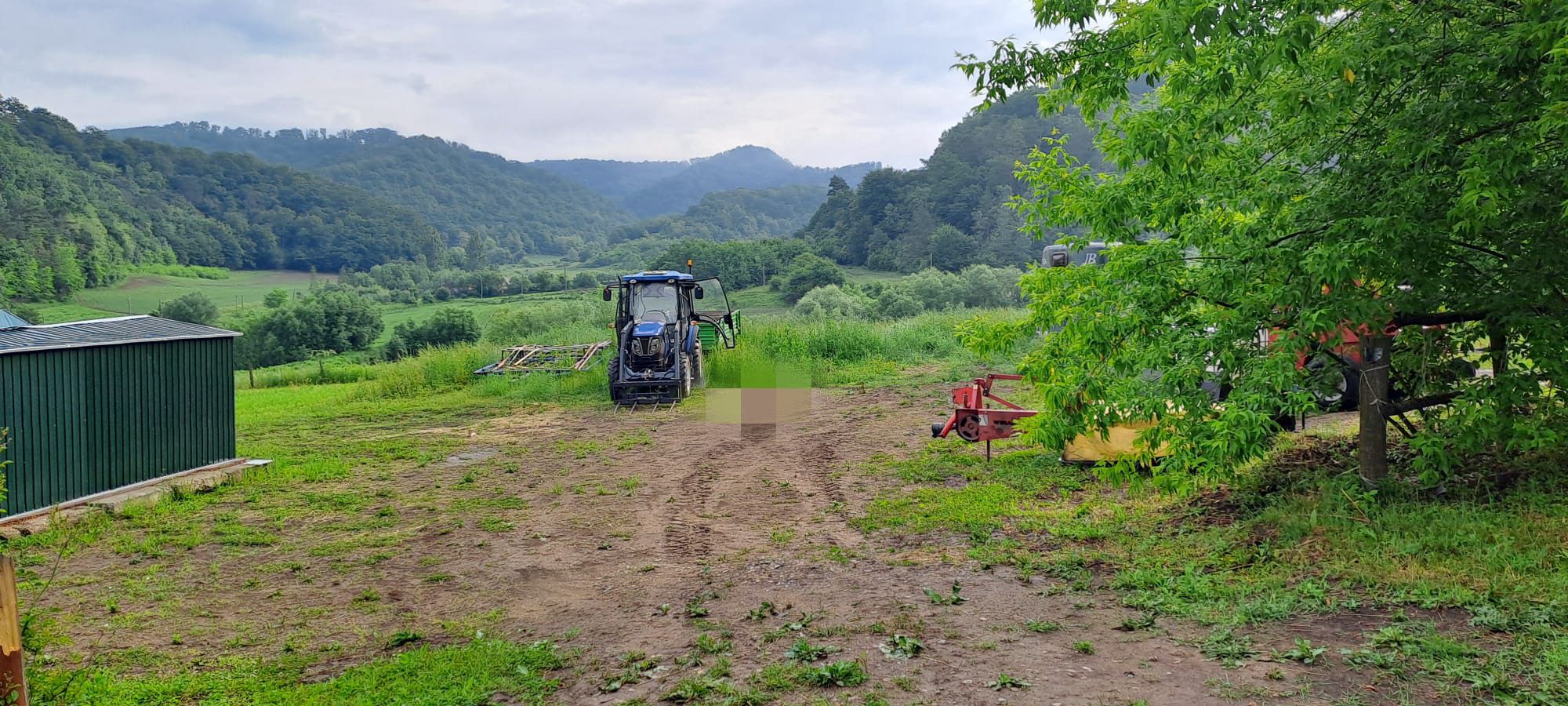 Tragedie lângă Dumbrăveni: un bărbat de 34 de ani a murit după ce ar fi fost atacat de un urs
