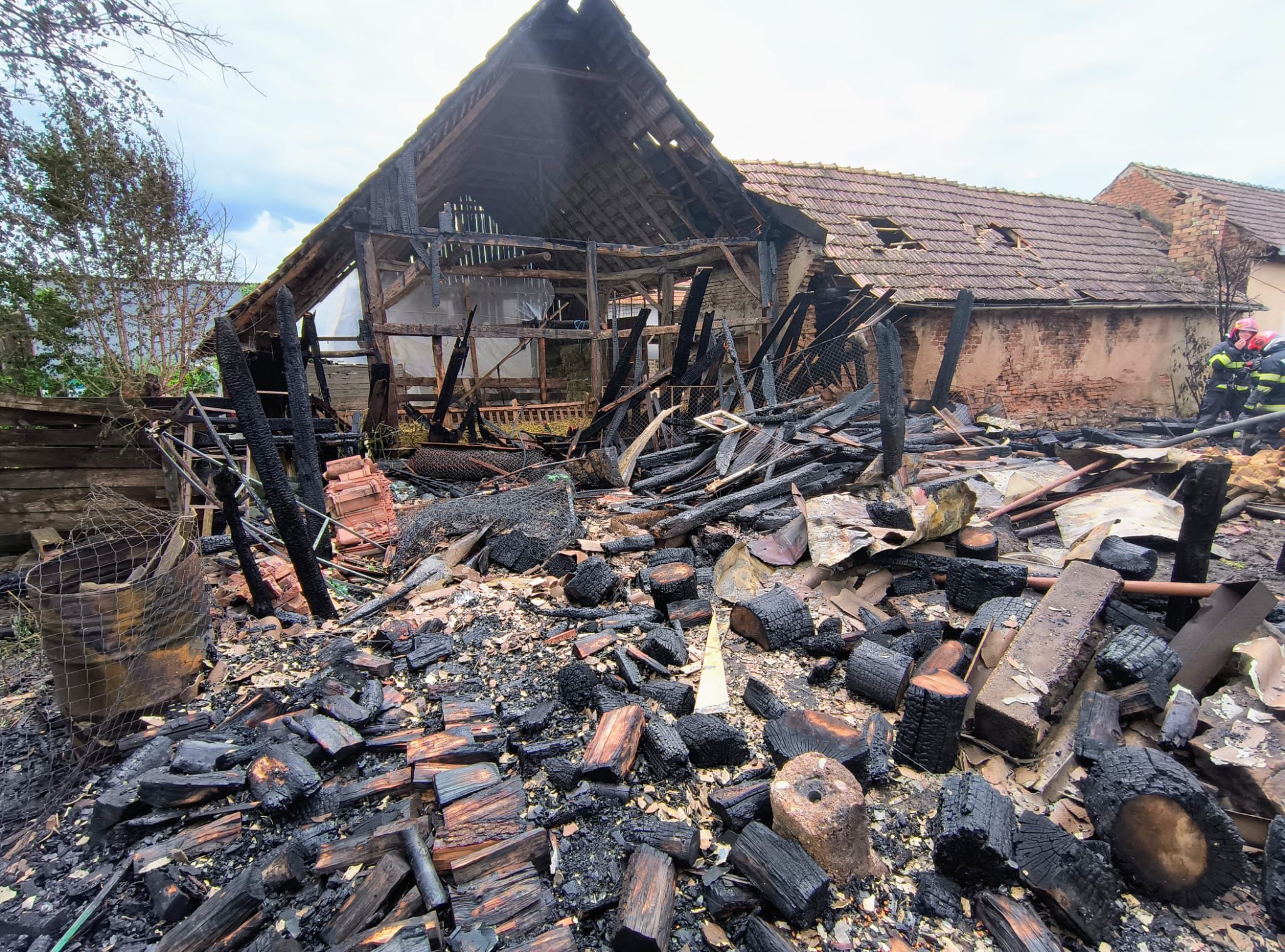 Incendiu puternic la Hosman: o șură a ars complet, iar zece animale au murit