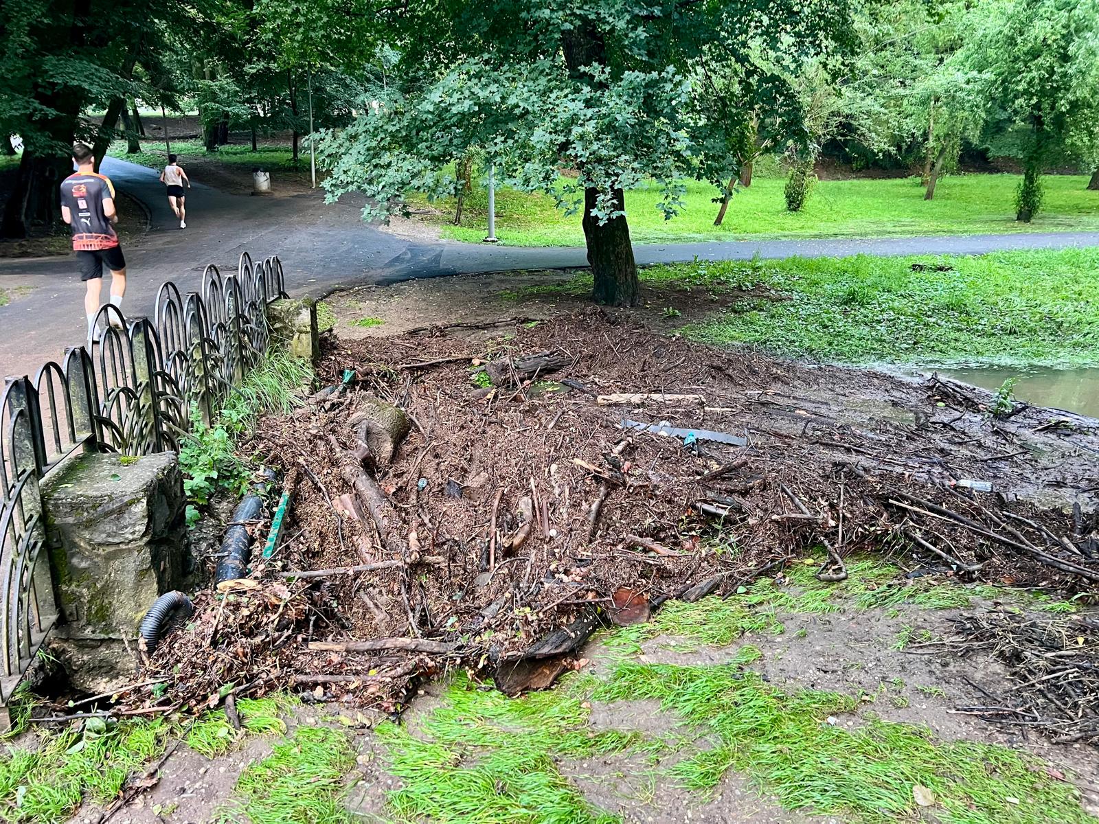 Foto/Video: Efectele ploii de ieri în „Sub Arini”: arbori doborâți, podețe înfundate și găuri în alei