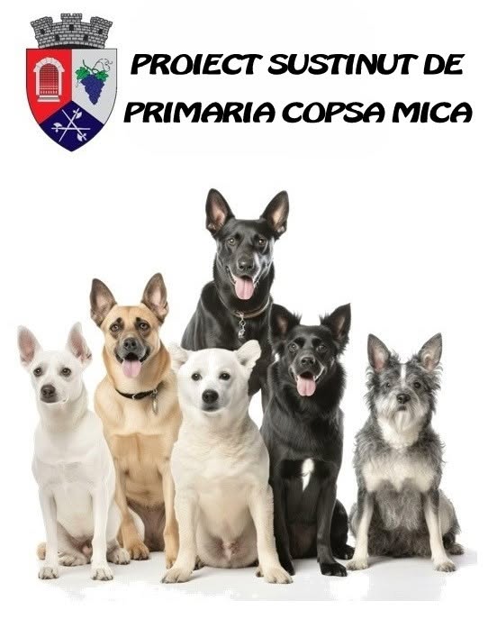 COPȘA MICĂ: Campanie de sterilizare a câinilor și pisicilor