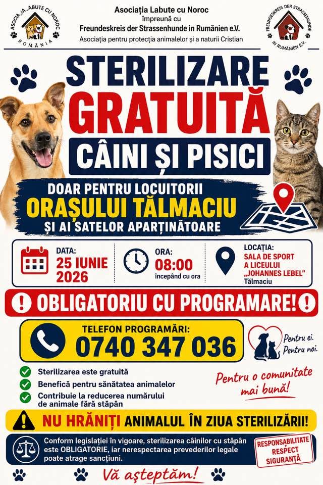 Sterilizări gratuite pentru câini și pisici la Tălmaciu. Campania are loc pe 25 iunie, pe bază de programare