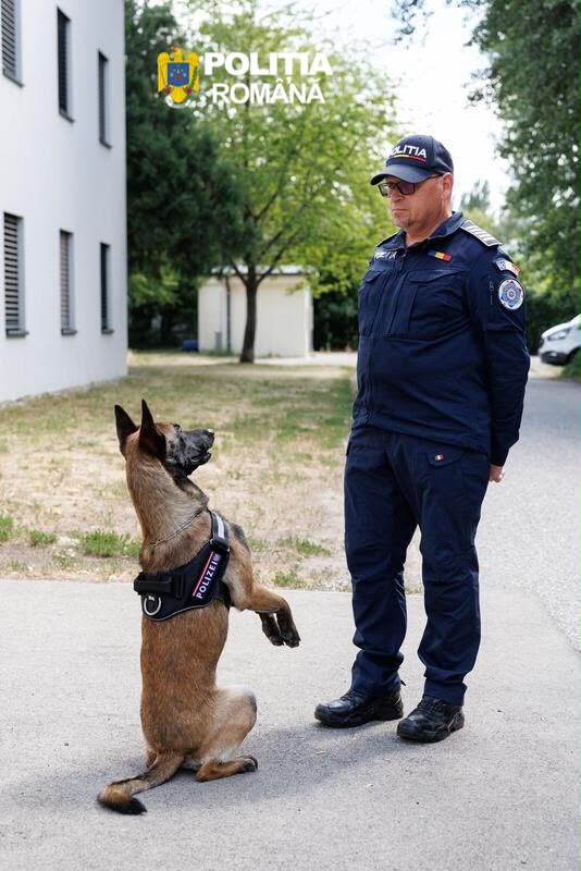 IPJ Sibiu are două noi echipe canine specializate în investigații criminalistice
