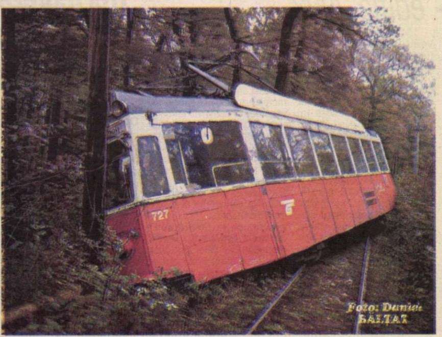 Sursa: arhiva Tribuna