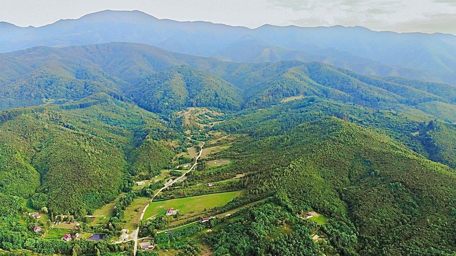 RACOVIŢA: Valea Lupului a fost electrificată