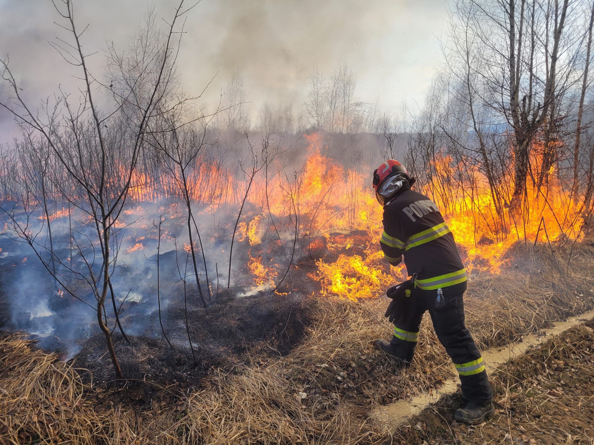 Incendiu de vegetație uscată pe aproximativ 70 de hectare, între Roșia și Cornățel
