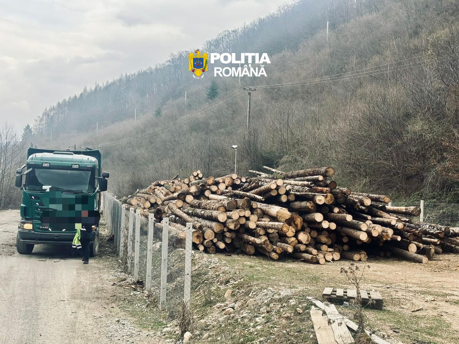 Cum te scapă „litera legii” de „spiritul legii”. Ce se întâmplă cu pădurarii cercetați pentru furt de lemne și de ce pot rămâne în funcție
