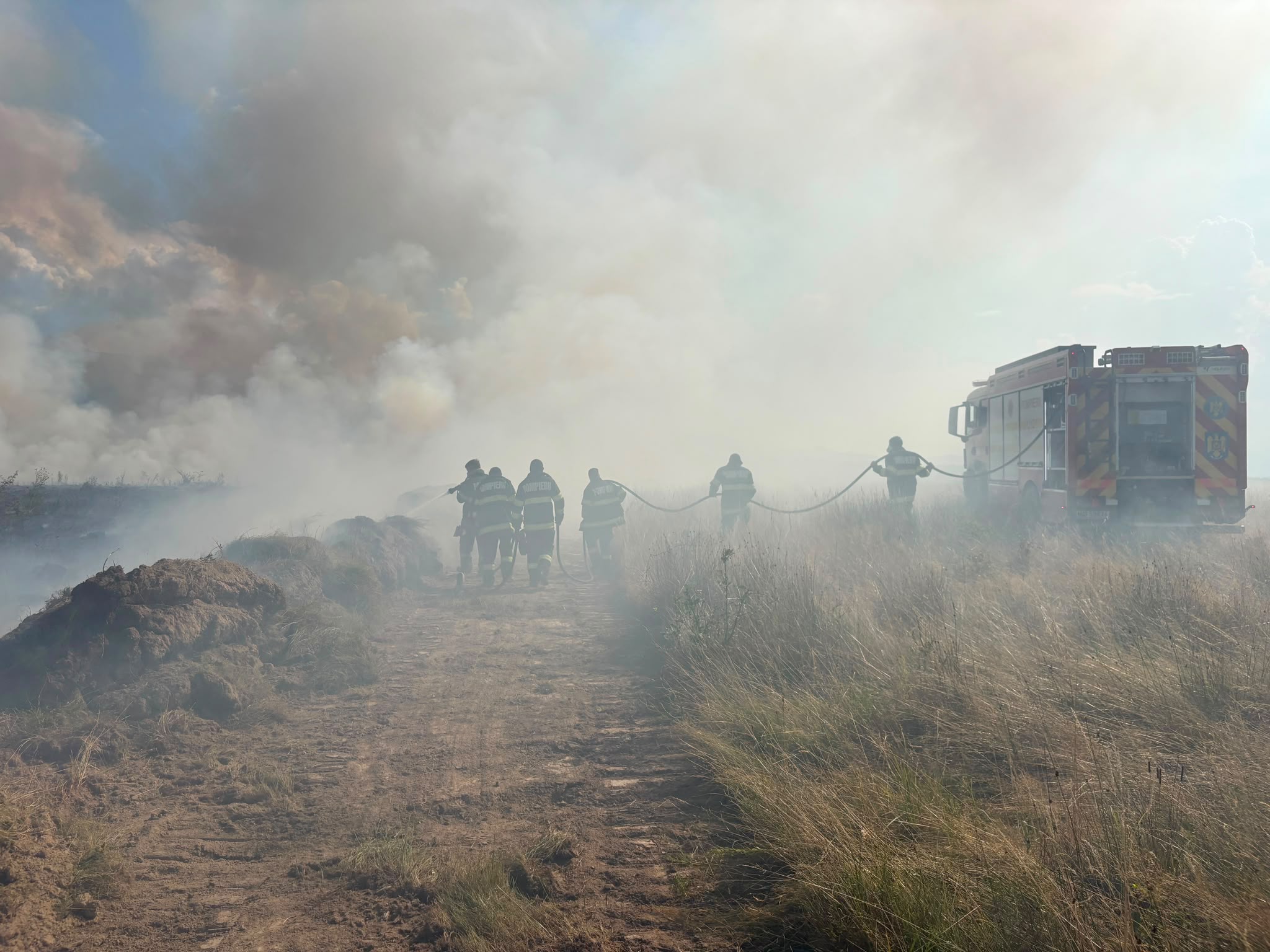 VIDEO | Incendiu de vegetație pe Valea Avrigului. Peste 50 de hectare sunt cuprinse de flăcări, iar intervenția este de durată