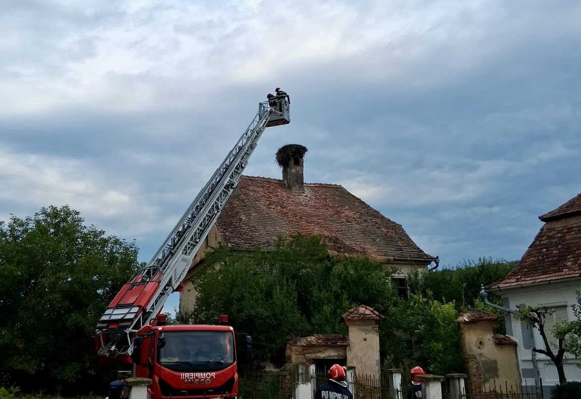 Misiune neobișnuită pentru pompierii sibieni: au salvat un pui de barză de pe acoperișul unei case