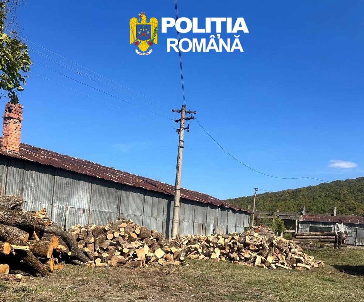Percheziții în județul Sibiu într-un dosar de tăieri ilegale. Un bărbat a fost reținut