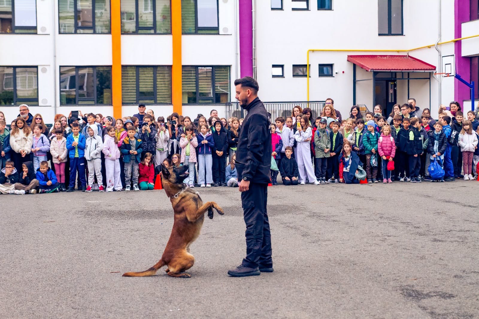 Demonstrație canină la aniversarea a 50 de ani a Școlii „Nicolae Iorga” din Sibiu
