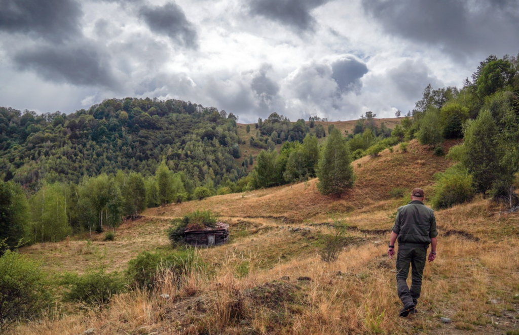 Vale Dobra - Valea Muntelui
