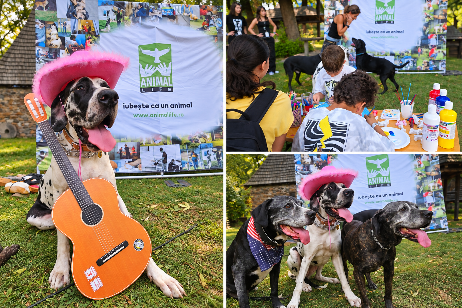 „Patrupezii chitariști”, vedetele de la Guitar Meeting. Animal Life a venit cu cățeii la festivalul din Muzeul ASTRA
