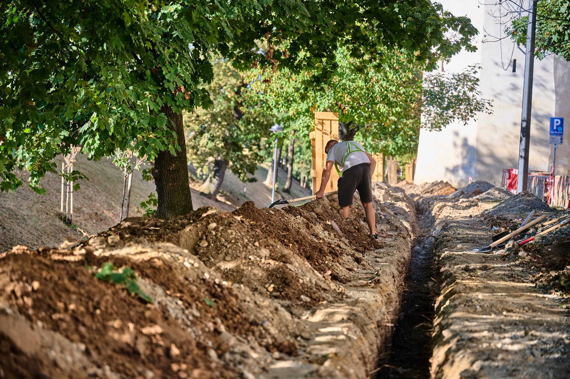 Parcul Cetății se reabilitează fără tăieri de arbori