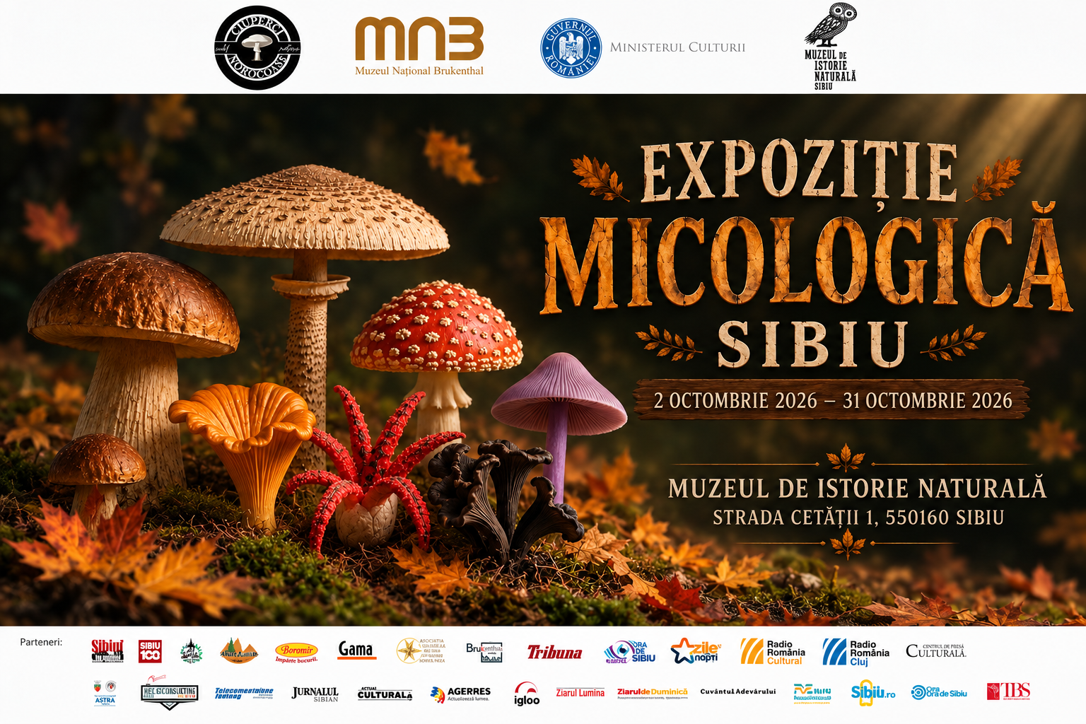 Sute de exemplare de ciuperci, expuse la Muzeul de Istorie Naturală din Sibiu. Expoziția poate fi vizitată în octombrie