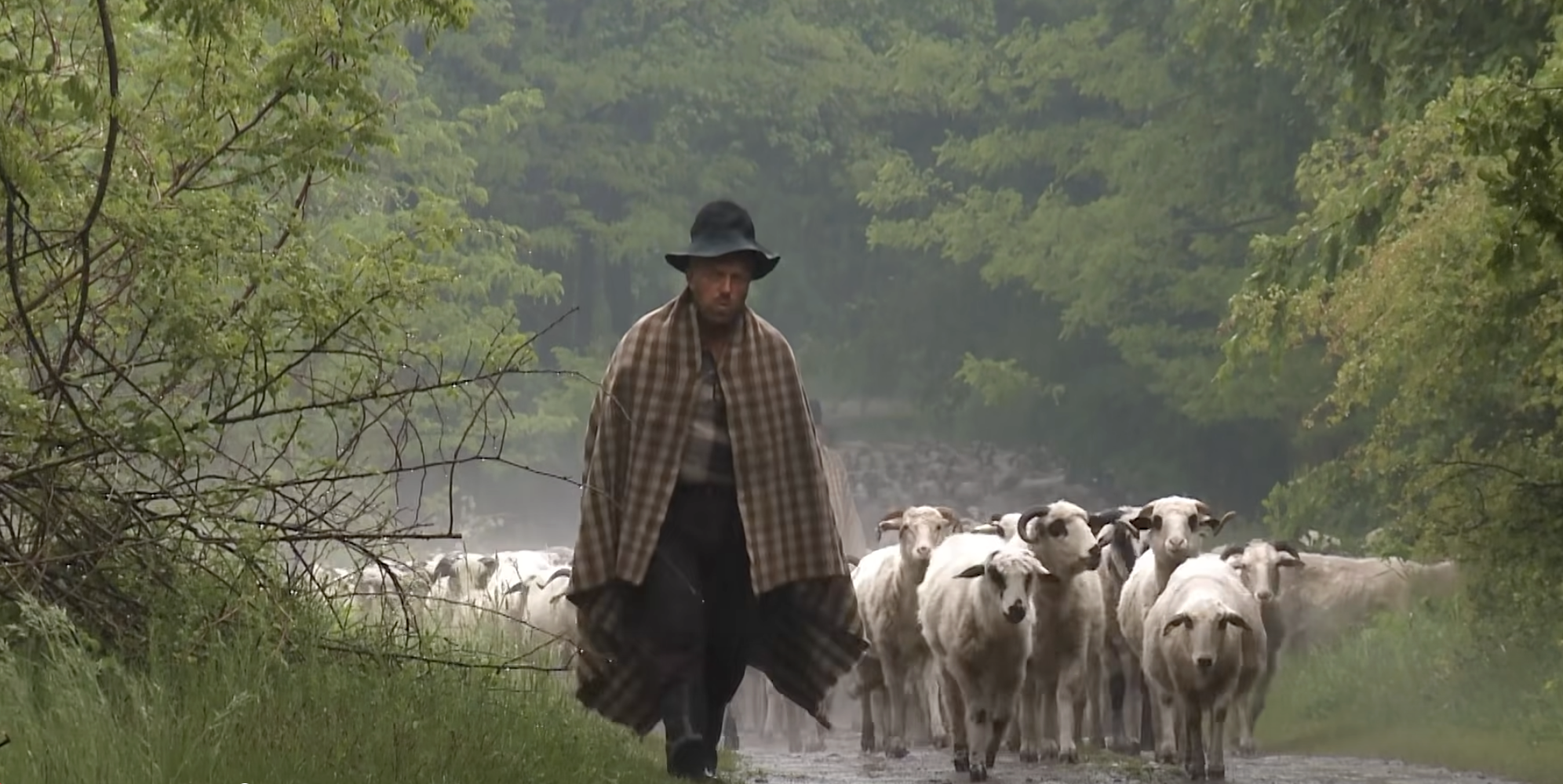 O lume pe care nu mai are cine să o ducă mai departe: „Calea laptelui”, de Dumitru Budrala