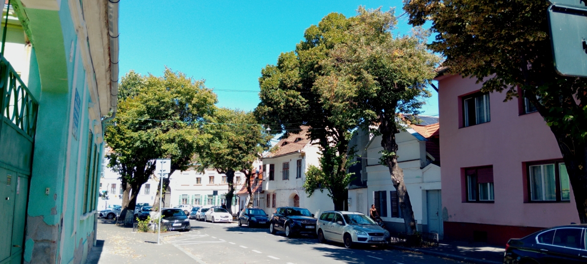 Locuri pe unde tu nu te plimbi. De ce ar merge cineva pe Regele Ferdinand și cum de strada Liviu Rebreanu ar fi una dintre cele mai frumoase din Sibiu